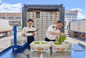 进出口双向扩容 高水平开放提速 从水果贸易看中国进出口平衡