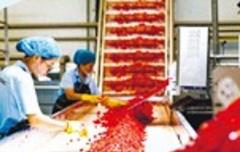 特色农产品变身优势产业