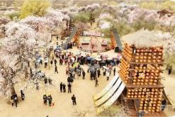 清明假期内蒙古文旅实现“双增长”