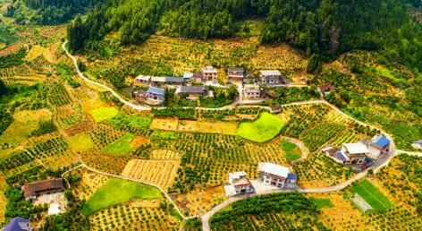 从“帮扶一村”到“带动一片”