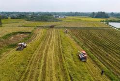 福建下达今年第二批耕地保护和生态修复专项资金