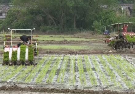 大江南北农耕忙 新技术、新模式护航增产增收