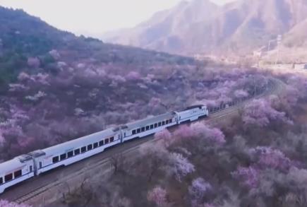火车向着景区开 全国铁路一季度开行旅游列车627列