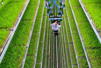 沃野春耕进行时 广袤田野上处处涌动着勃勃生机