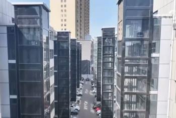 大力推进城市更新 不断提升城市品质