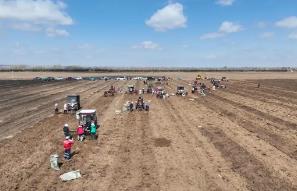 内蒙古赤峰市敖汉旗中药材基地迎来机械化采收