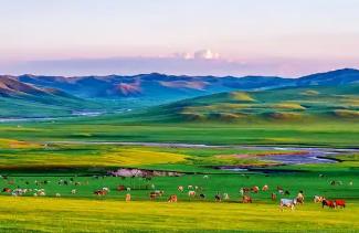 内蒙古促进农牧文旅体融合发展