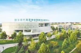 蔬菜之乡有了“中国芯”——来自山东潍坊寿光市的调查