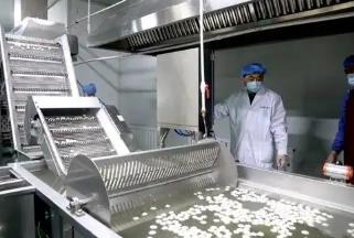 黑龙江佳木斯：冷水鱼产业升级焕新彩