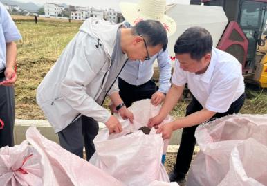 我国特早熟油菜育种取得突破