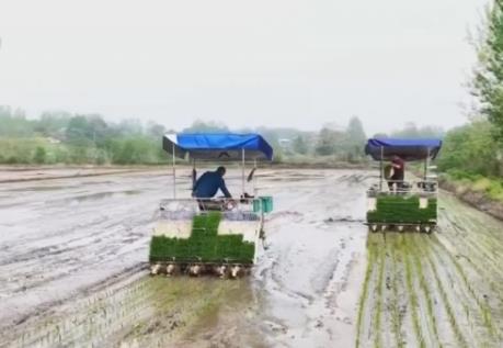 从“凭经验”到“看数据” “智慧种田”为乡村振兴插上“科技翅膀”