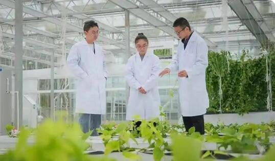 累计培育农创客十万名 浙江开启现代“新农人”培育行动