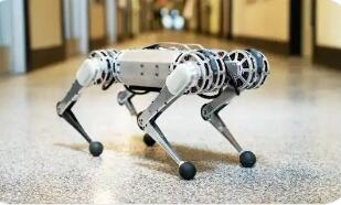 竞逐“智”高点——杭州“六小龙”科创新观察