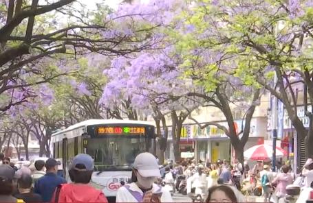 “新场景+新业态”打造沉浸式春日文旅新体验 消费潜能释放“热气腾腾”