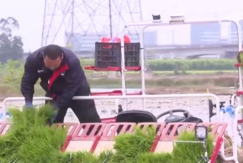 打击、抽查、治理……市场监管总局将扎实做好各类农资产品监管执法
