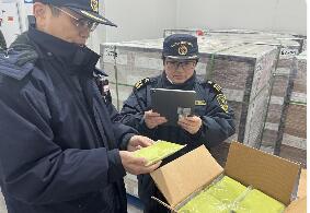 浙江首次进口冷冻牛油果泥