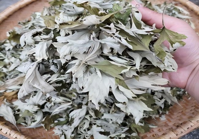 一“艾”生金，山乡迎变