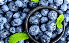 云南大理蓝莓首次出口