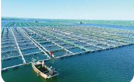 一季度我国海洋经济开局良好 高质量发展向新向优