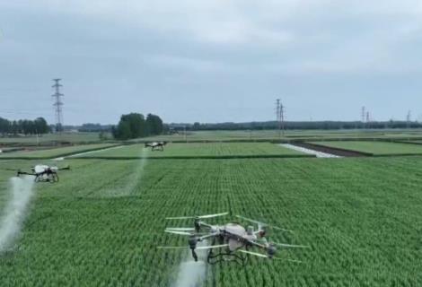 各地加大科技支撑 夯实粮食生产基础