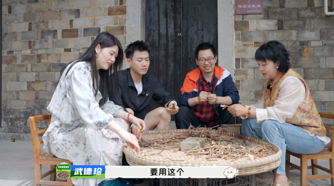 一朵牡丹花的“三重绽放”探访仲景宛西制药牡丹皮规范化种植基地
