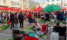乡村市场更旺，城乡循环更畅