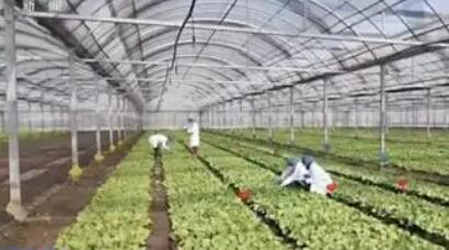 我国首款RNA农药获批登记填补行业空白