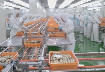 科技为舵，冷冻食品产业穿越周期