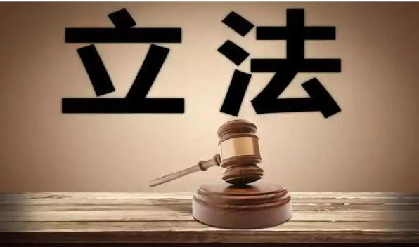 将制定金融法、医疗保障法等 2026年度立法工作计划发布