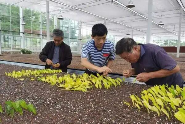心中若有梦，60也年轻——浙江新昌重构青年定义背后的乡村人才观
