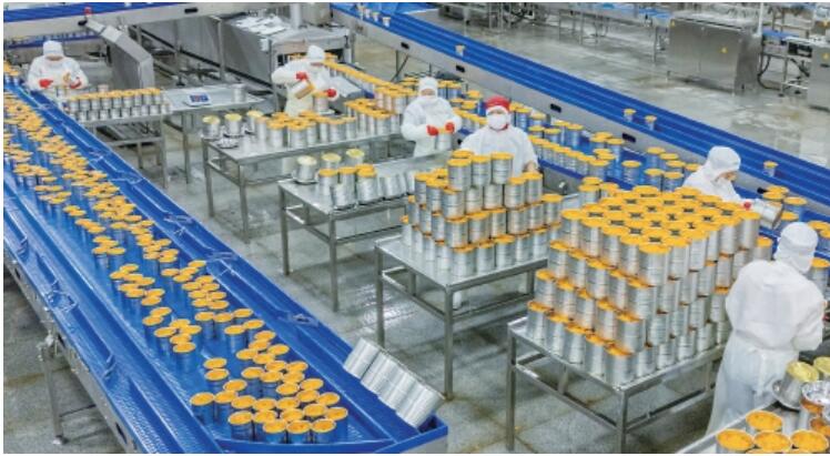 一果“链”出500亿——湖北宜昌市柑橘品牌跃迁观察