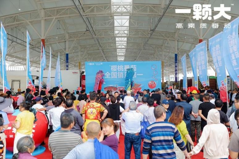 一颗大™夏季主题路演暨滁州市场开业活动圆满举行，首日热销近6吨