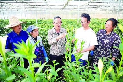 追光逐热，福建南平种业高地势正扬