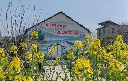 安徽合肥演绎乡村振兴“三重奏”