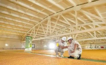 让“中国饭碗”盛满“健康中国”的河南力量
