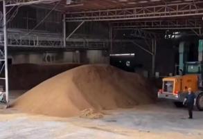 收储接力，近7000吨湿小麦跨省抢烘
