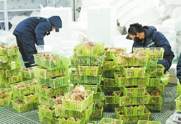 2026年首批全国名特优新农产品名录公布　四川102个农产品入选