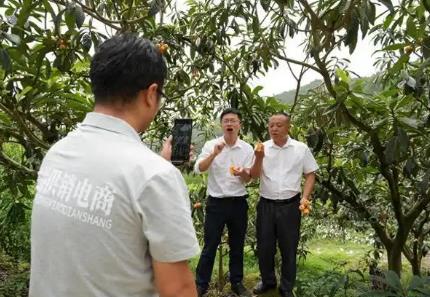 四川苍溪：田间“村播”激活农货“云销路”