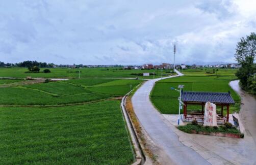 千亩稻浪织锦绣 一坝清波润沃土——湖南洞口跃龙村奋力谱写乡村振兴新篇章