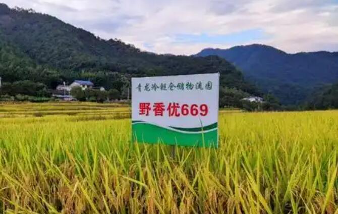 科特派助力辽宁桓仁特色产业提质增效
