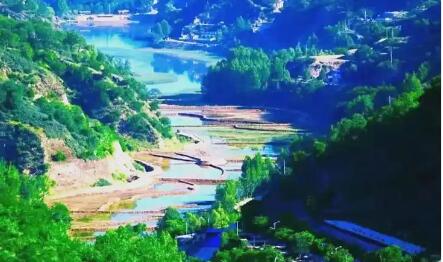 深耕林下经济 润泽绿水青山——延安市推动生态资源转化为富民产业优势