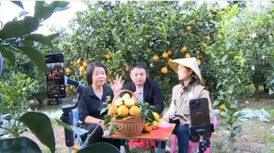 从“流量思维”到“信用思维”——福建直播助农一线观察