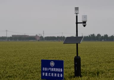 “气象分区预警”如何守护农业稳产