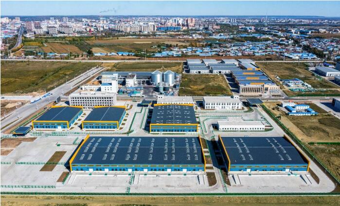 筑牢五大安全战略底盘 黑龙江以新质生产力跑出工业振兴加速度