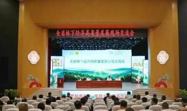 从“靠山吃山”到“绿富同兴”：黑龙江探索林下经济高质量发展新路径