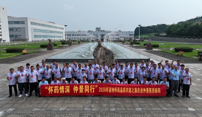守护“根”与“魂”：一株道地怀药的健康使命