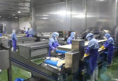 业绩冷暖分化 产品迭代提速 渠道模式变革　从速冻食企半年报里看行业新变局