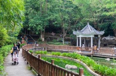 暑期“乡”遇 “看风景”又“品生活”
