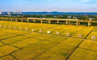 向3000亿元目标迈进 四川眉山将在3方面着重发力