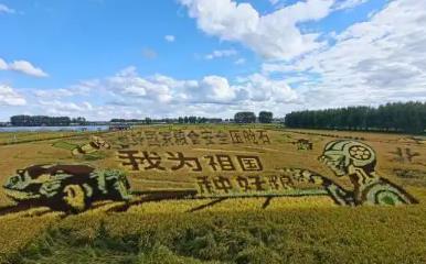 黑龙江绥化北林：深化科研合作 提升寒地作物育种能力
